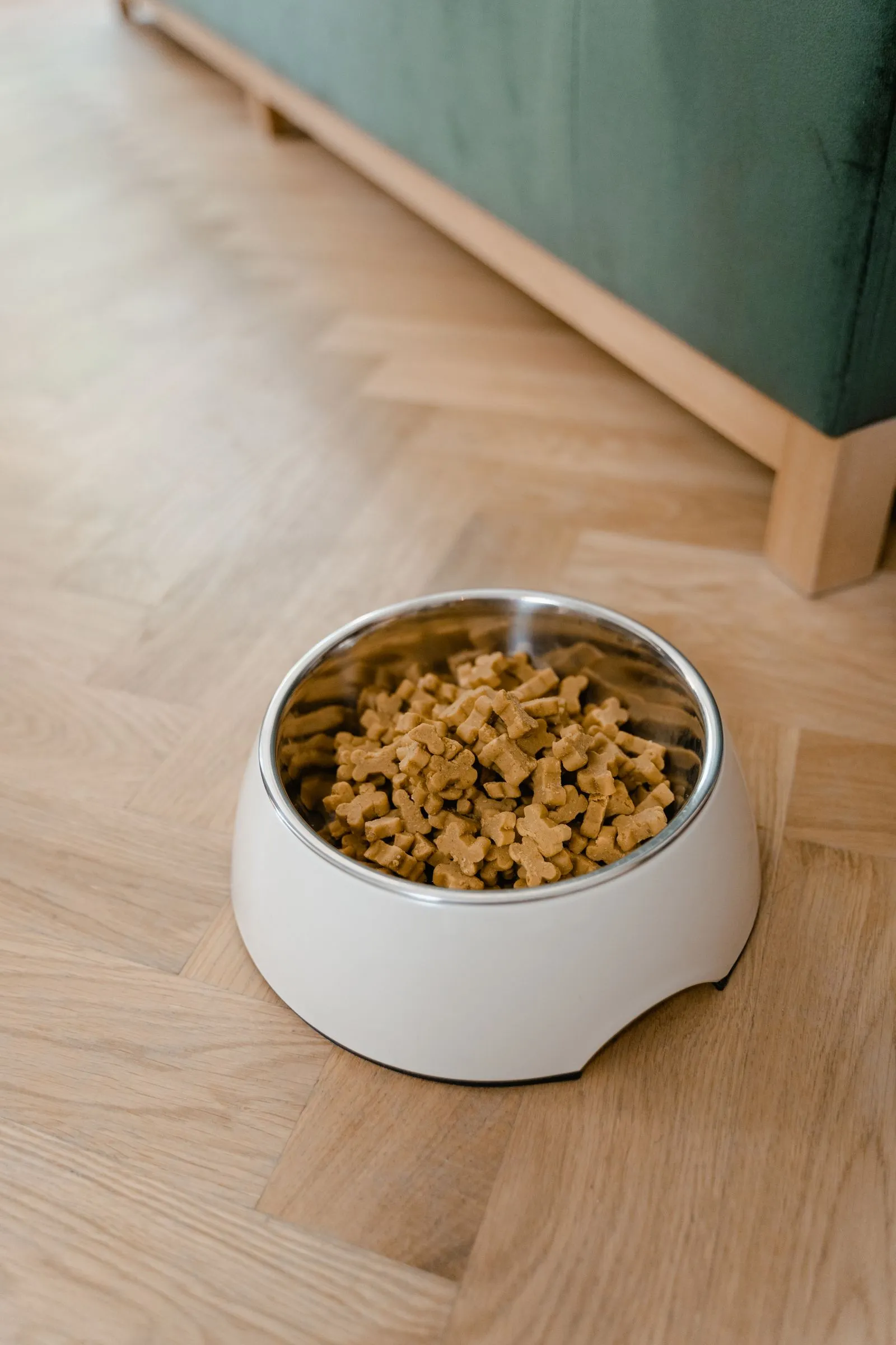 A bowl of dry pet food